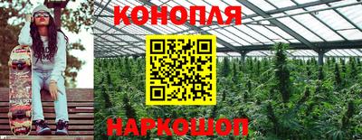 крисы Ирбит