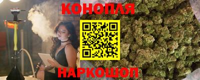 крисы Ирбит