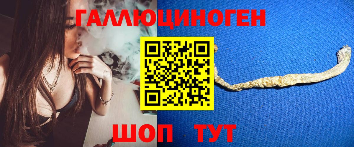 Галлюциногенные грибы мицелий Красноярск